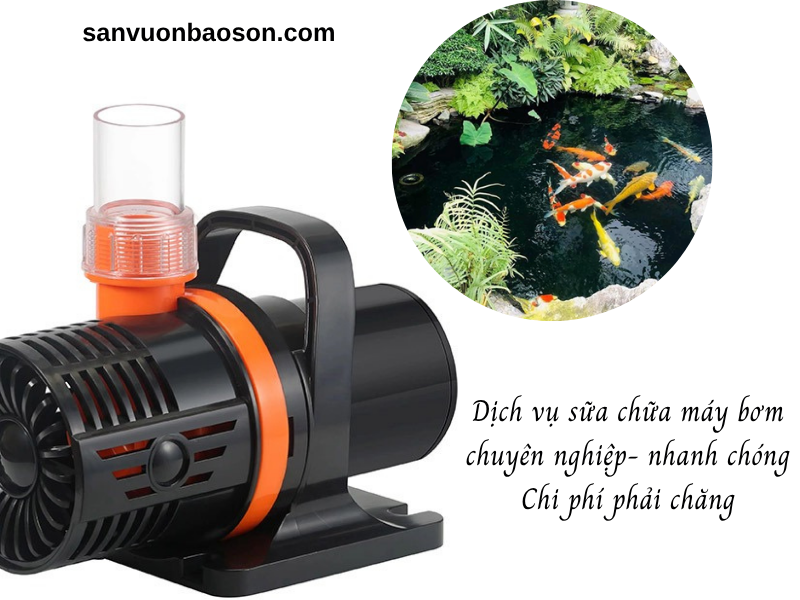 Sửa chữa máy bơm hồ cá Koi, hòn non bộ nhanh chóng và chuyên nghiệp