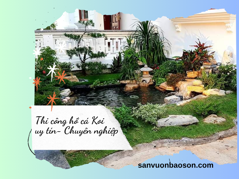 Thi Công Hồ Cá Koi Giá Rẻ- Bảo Hành Dài Lâu
