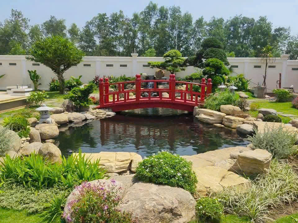 Bảo trì hồ cá koi nước trong, cá khỏe&nbsp;