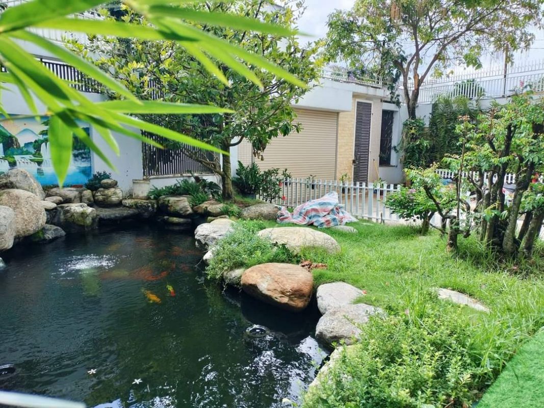 ho-ca-koi-biet-thu-san-vuon