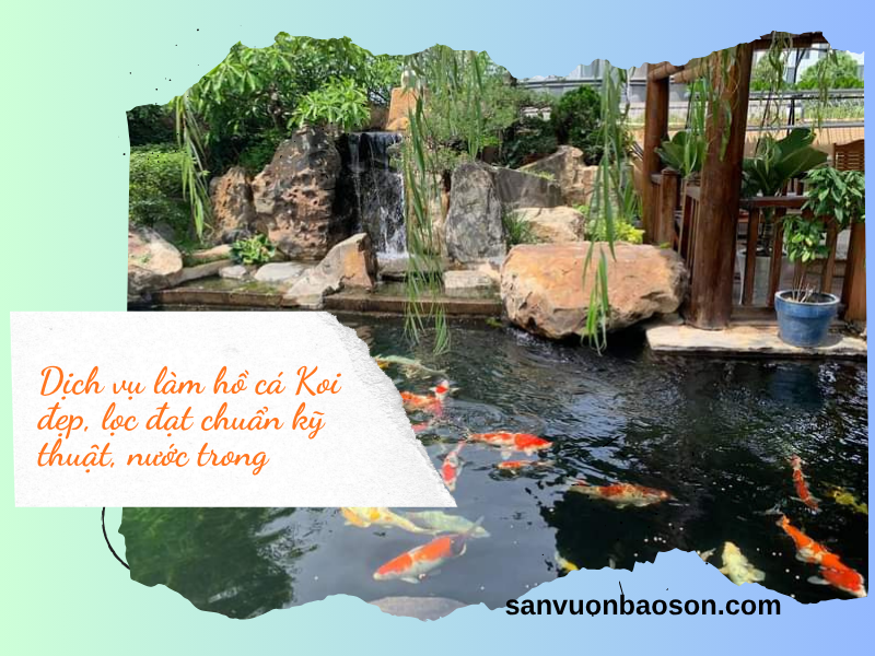 dich-vu-lam-ho-ca-koi-hcm