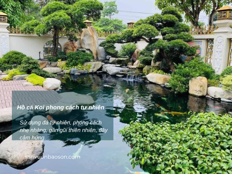 ho-ca-koi-tu-nhien