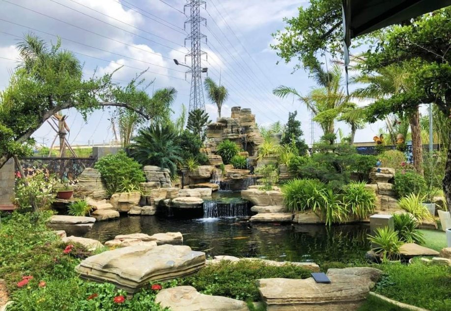 Thi Công Hồ Cá Koi Trà Vinh 2026: Nước Trong, Cá Khỏe,Tiết Kiệm Chi Phí