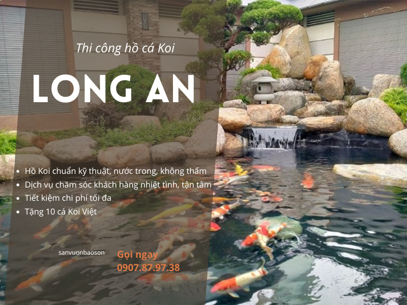Thi công hồ cá koi long an - Tối ưu chi phí, nâng tầm không gian