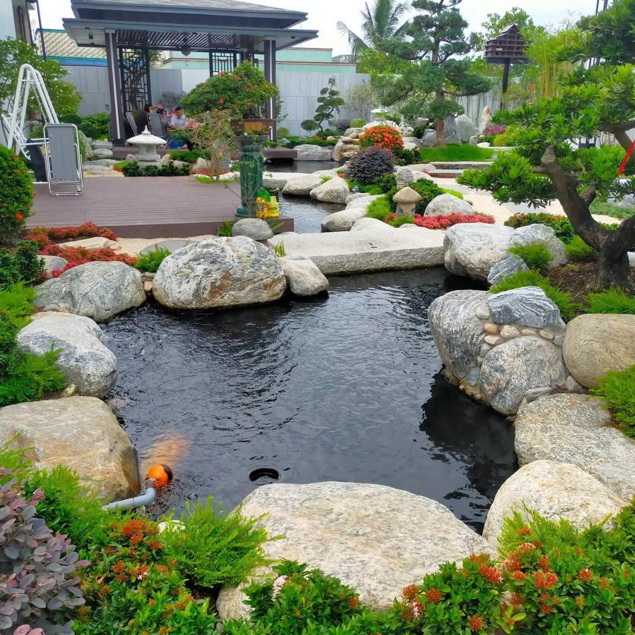 Thi công hồ cá Koi Cần Thơ- Tuyệt tác chuẩn sân vườn miền Tây