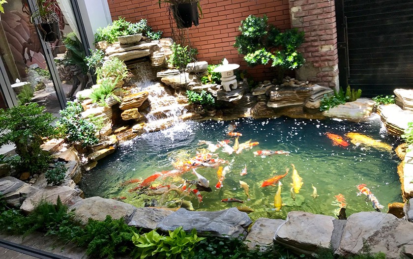 bao-tri-ho-ca-koi-tphcm
