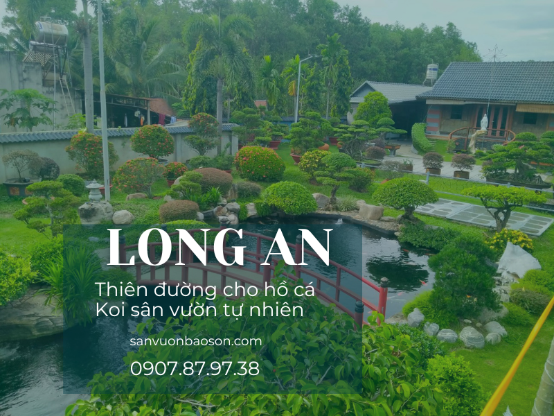 thiet-ke-thi-cong-ho-ca-koi-long-an