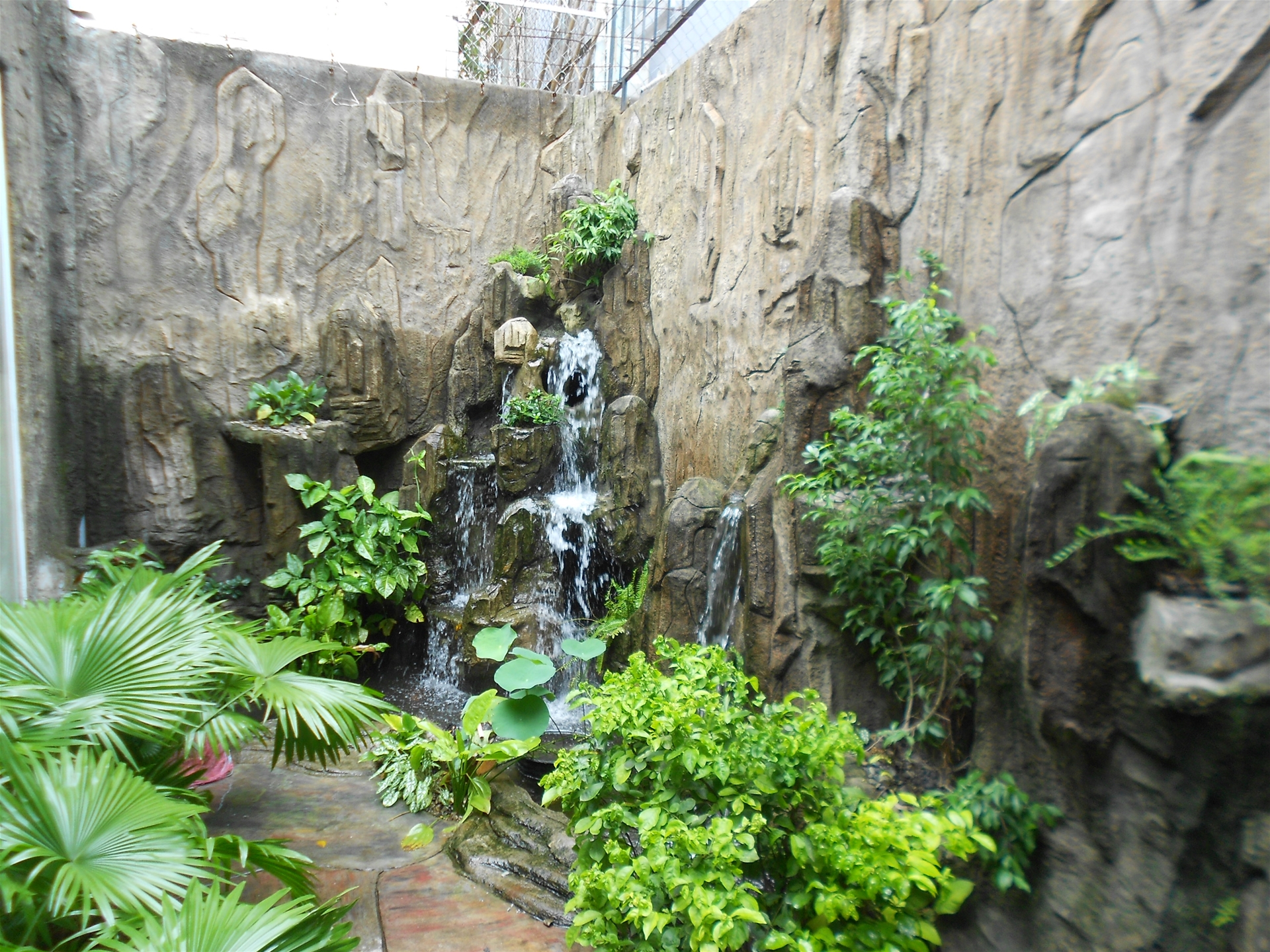 sân vườn nhà biệt thự